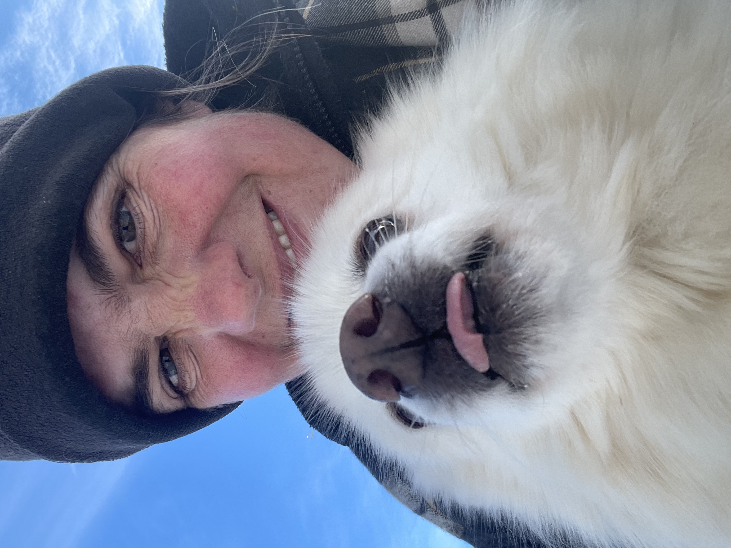 Start page image for sales-partner's sales-channel